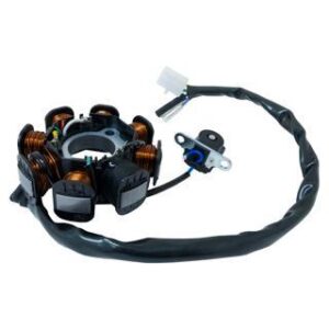 ESTATOR DS150 RODA