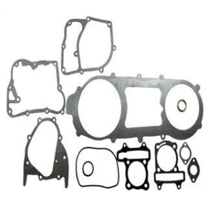 Empaques Motor DS150 RODA