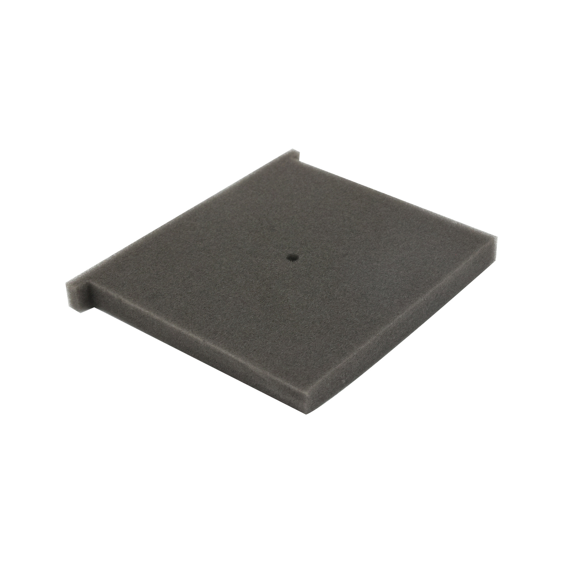 Elemento Filtro Aire FT150 RODA