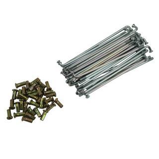 Rayo Trasero 16 RC150 para Chopper