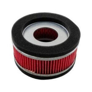 Filtro de Aire DS150 Redondo para Motoneta